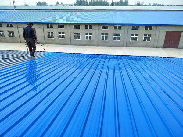 沙湖原种场 彩钢瓦喷漆翻新工业厂房、仓库